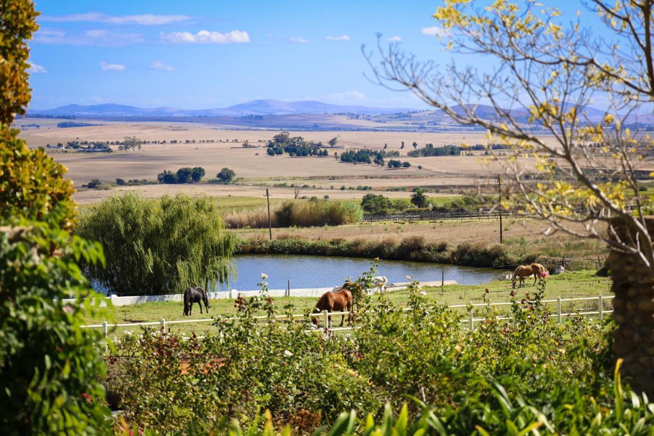 Landskroon Cottage Paarl Exterior foto